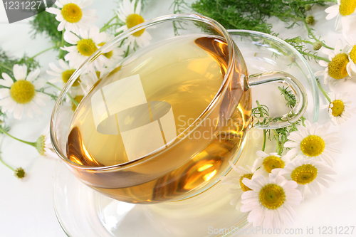 Image of Chamomile Tea