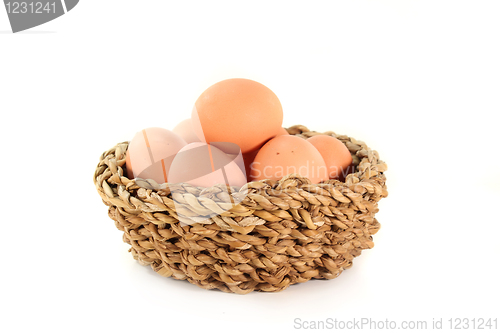 Image of Eggs