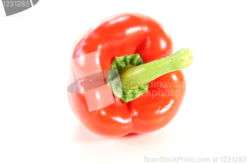 Image of bell pepper