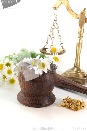 Image of chamomile flowers with mortar and scales