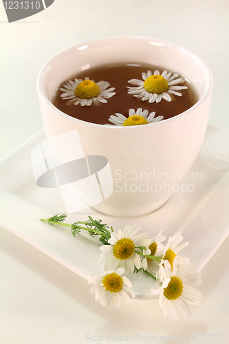 Image of chamomile tea