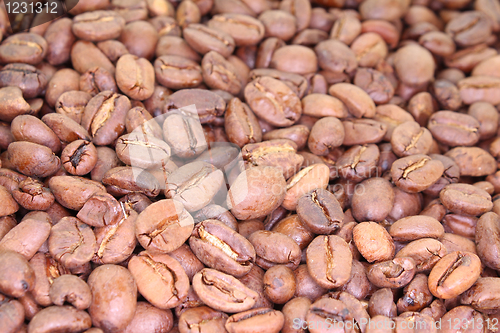 Image of coffee beans