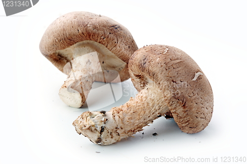 Image of Healthy food. Mushrooms