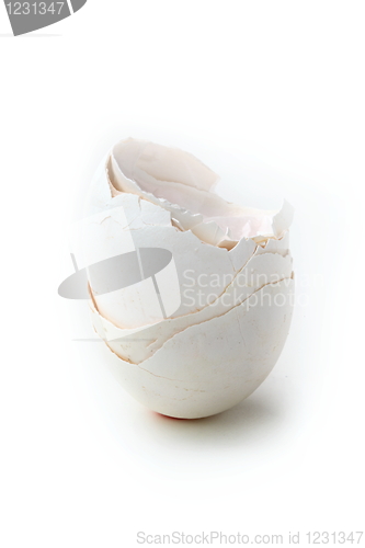 Image of The eggshell 