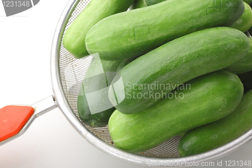 Image of The green cucumbers