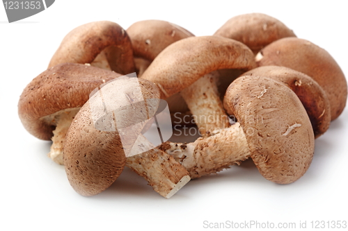Image of Healthy food. Mushrooms