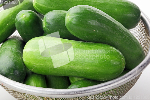 Image of The green cucumbers