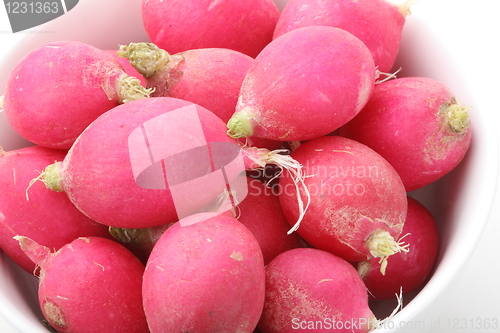 Image of Fresh tasty radish 