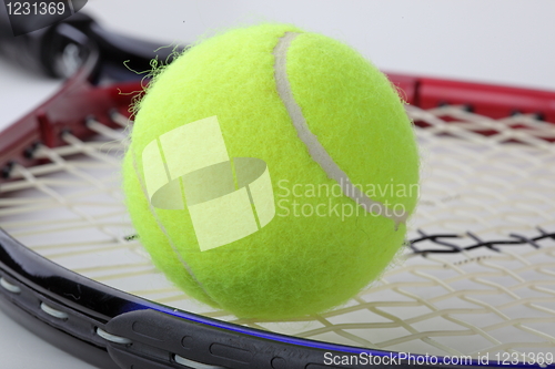 Image of The tennis ball