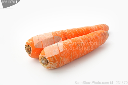 Image of The red carrot