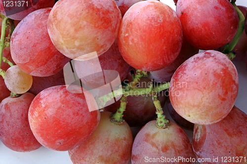 Image of Grapes isolated on white