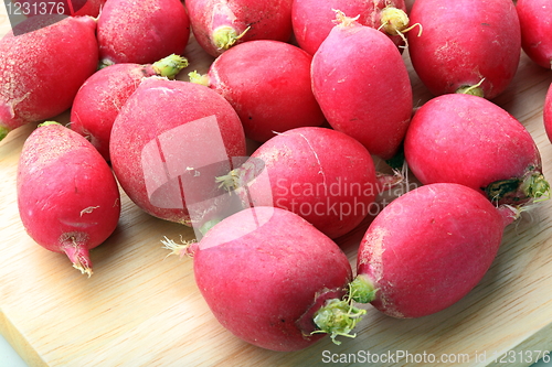 Image of Fresh tasty radish
