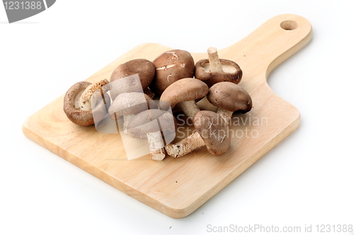 Image of Healthy food. Mushrooms