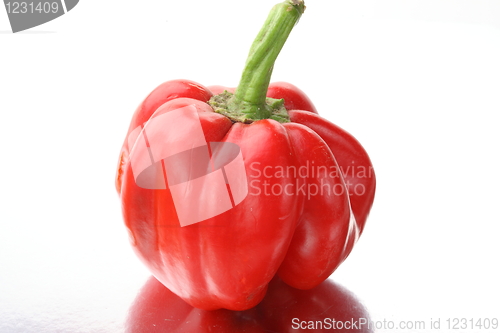 Image of Red pepper