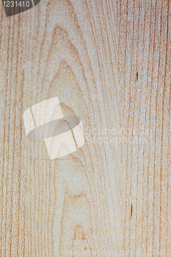 Image of Wooden texture