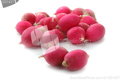 Image of Fresh tasty radish  isolated on white background