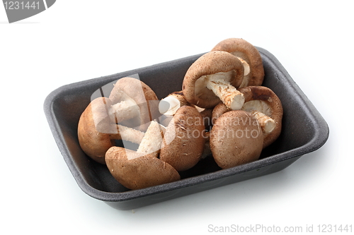 Image of Healthy food. Mushrooms