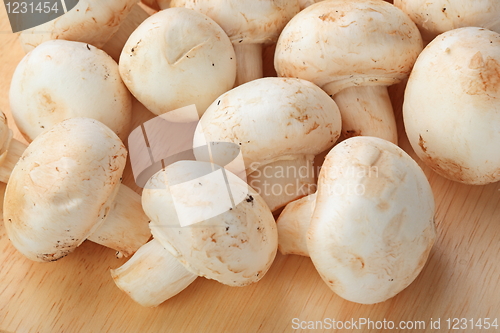 Image of Fresh mushrooms