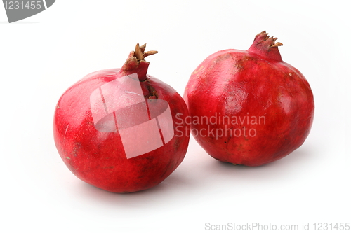 Image of The red garnet