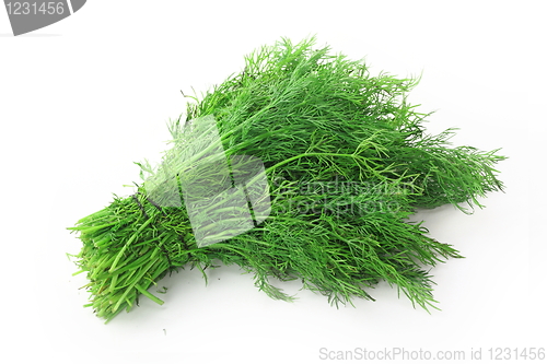 Image of Fresh tasty dill isolated on white background