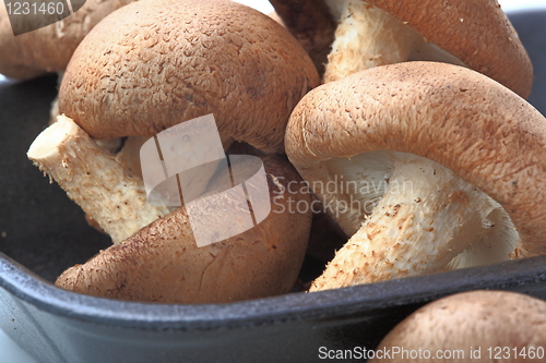 Image of Healthy food. Mushrooms