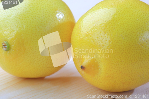 Image of The yellow lemon