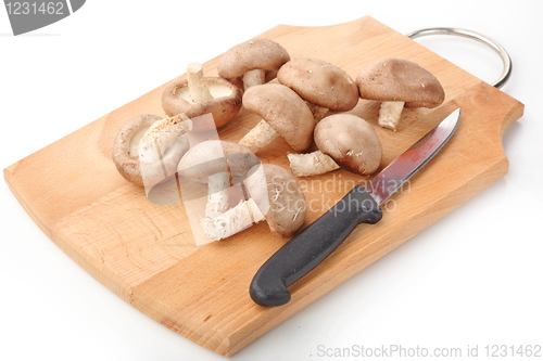 Image of Healthy food. Mushrooms