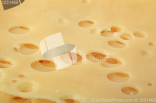 Image of The cheese