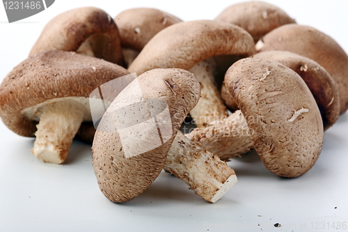Image of Healthy food. Mushrooms
