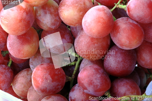 Image of Grapes isolated on white