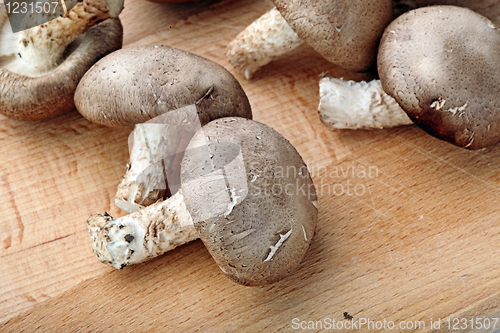 Image of Healthy food. Mushrooms