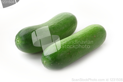 Image of The green cucumbers