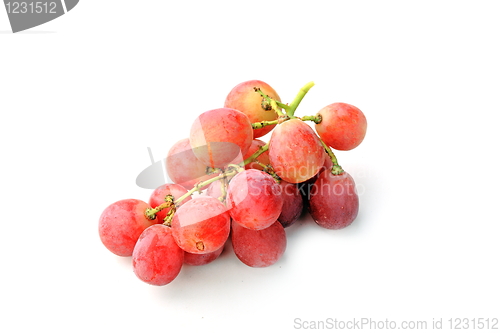 Image of Grapes isolated on white