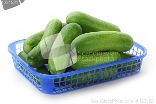 Image of The green cucumbers