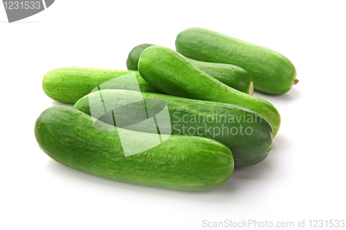 Image of The green cucumbers