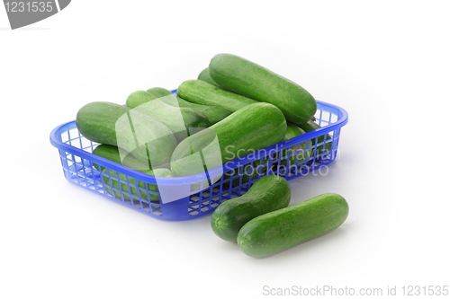 Image of The green cucumbers