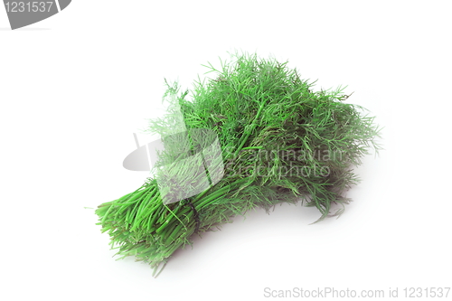 Image of Fresh tasty dill isolated on white background