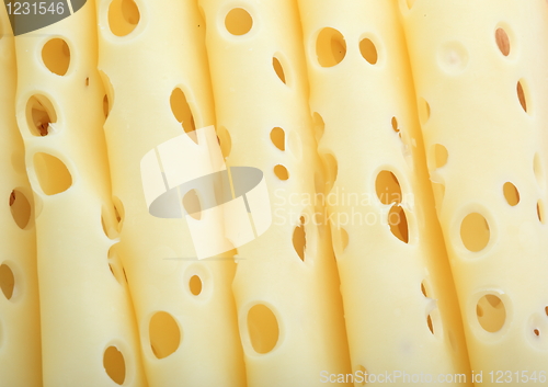 Image of The cutted cheese 