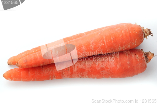 Image of The red carrot