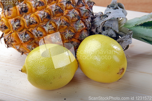 Image of Fresh tropical fruits