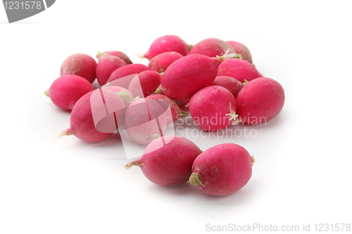 Image of Fresh tasty radish  isolated on white background