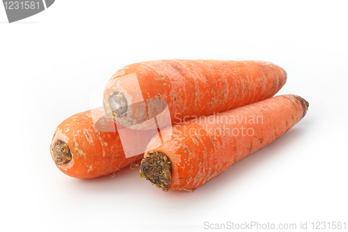 Image of The red carrot
