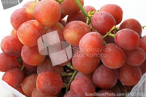 Image of Grapes isolated on white