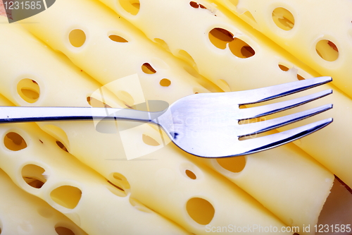 Image of The cutted cheese 