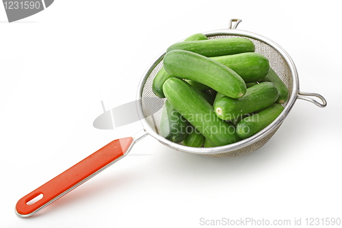 Image of The green cucumbers