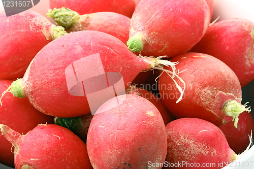 Image of Fresh tasty radish 