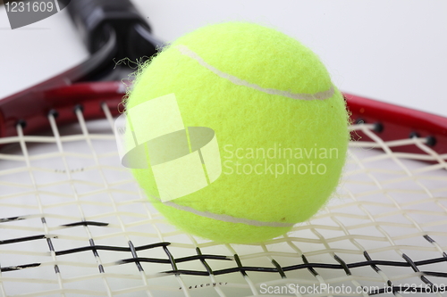 Image of The tennis ball