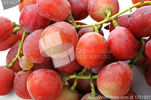 Image of Grapes isolated on white