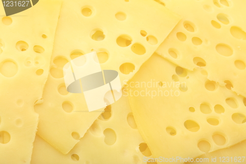 Image of The cheese