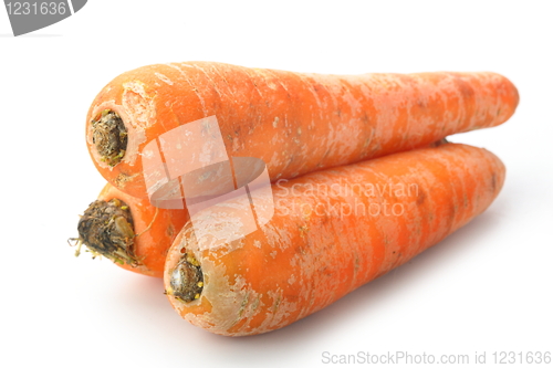 Image of The red carrot